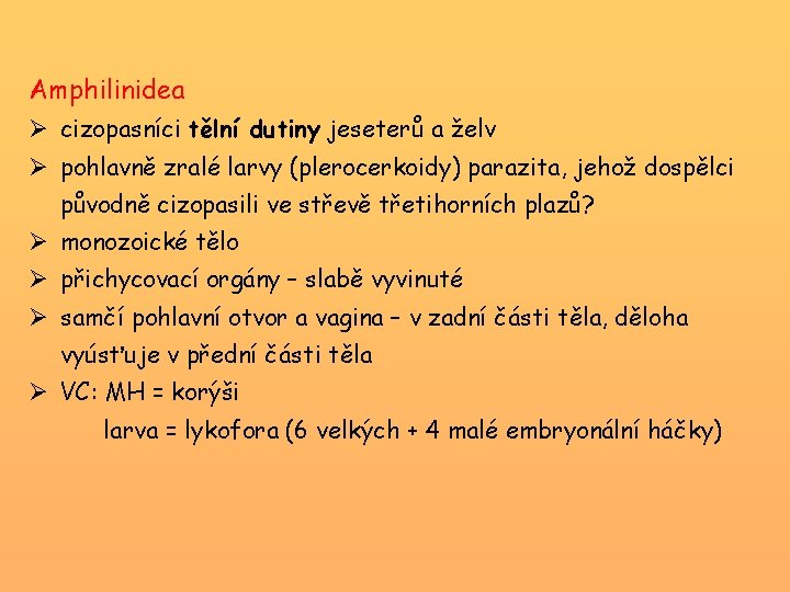Amphilinidea Ø cizopasníci tělní dutiny jeseterů a želv Ø pohlavně zralé larvy (plerocerkoidy) parazita,