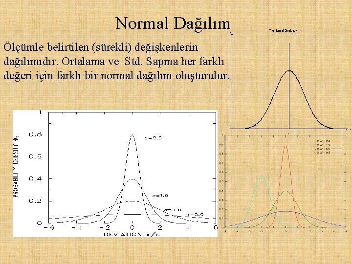 Normal Dağılım Ölçümle belirtilen (sürekli) değişkenlerin dağılımıdır. Ortalama ve Std. Sapma her farklı değeri