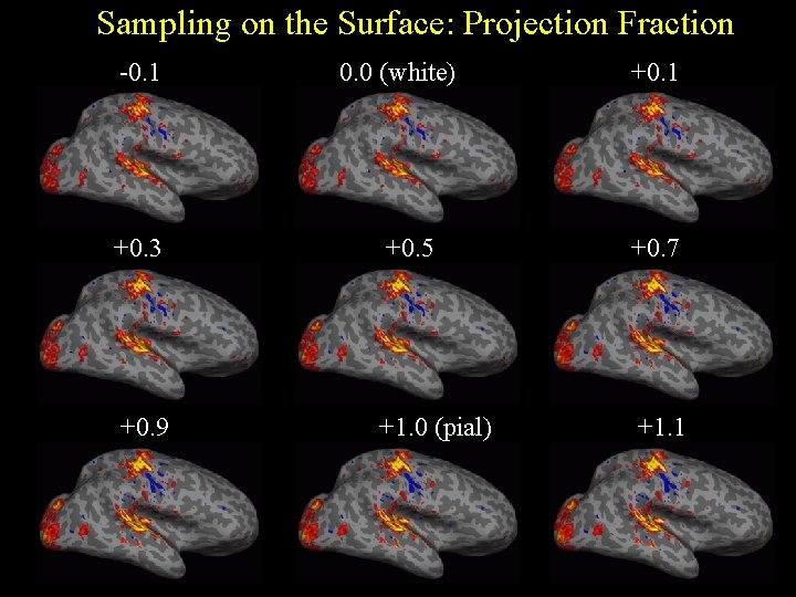 Sampling on the Surface: Projection Fraction -0. 1 0. 0 (white) +0. 1 +0.