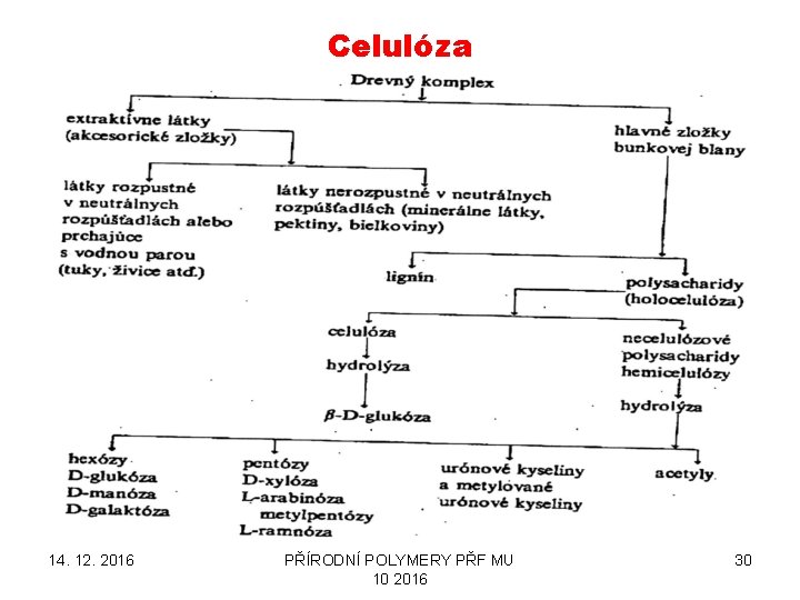 Celulóza 14. 12. 2016 PŘÍRODNÍ POLYMERY PŘF MU 10 2016 30 