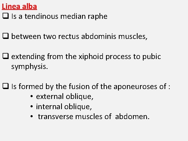 Linea alba q Is a tendinous median raphe q between two rectus abdominis muscles,