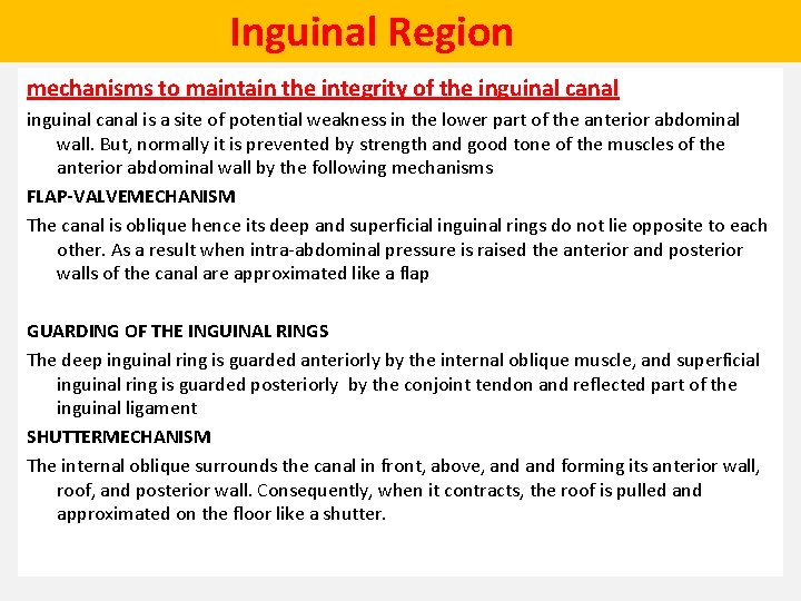  Inguinal Region mechanisms to maintain the integrity of the inguinal canal is a