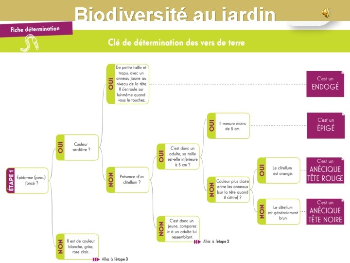 Biodiversité au jardin Biodiversité au jardin