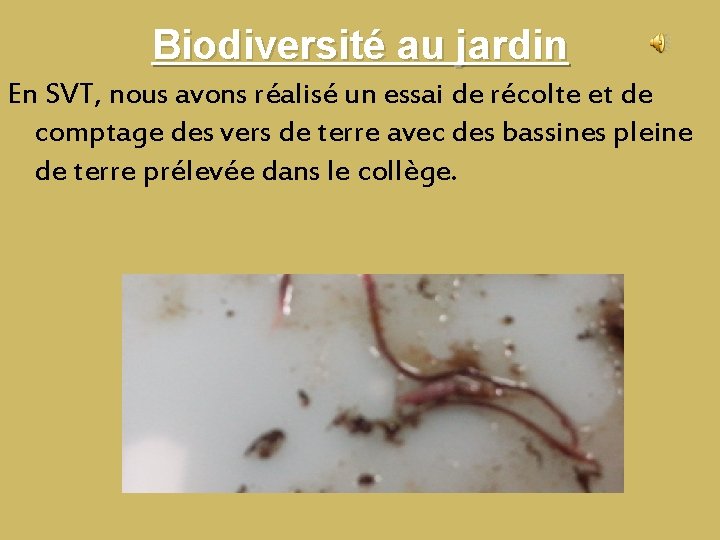 Biodiversité au jardin En SVT, nous avons réalisé un essai de récolte et de Biodiversité au jardin En SVT, nous avons réalisé un essai de récolte et de