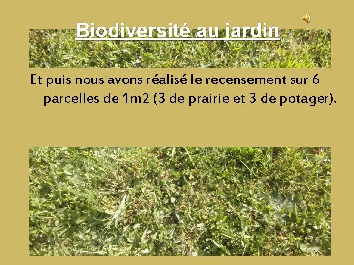 Biodiversité au jardin Et puis nous avons réalisé le recensement sur 6 parcelles de Biodiversité au jardin Et puis nous avons réalisé le recensement sur 6 parcelles de