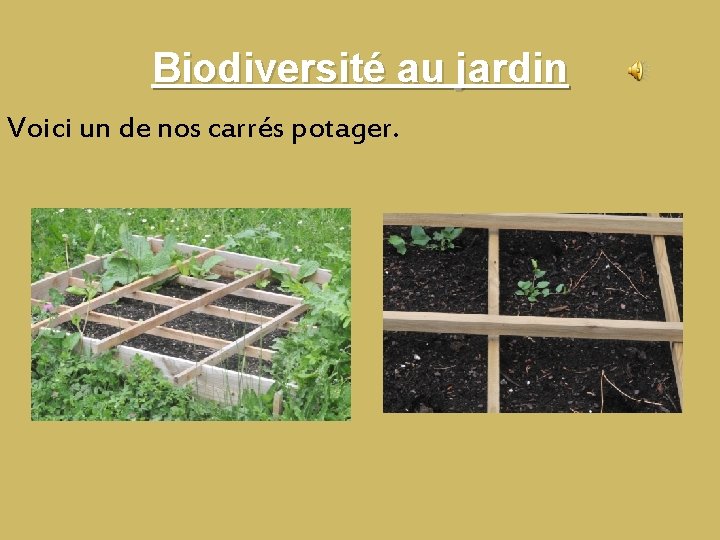 Biodiversité au jardin Voici un de nos carrés potager. Biodiversité au jardin Voici un de nos carrés potager.
