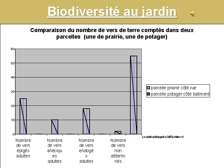 Biodiversité au jardin Comparaison du nombre de vers de terre comptés dans deux parcelles Biodiversité au jardin Comparaison du nombre de vers de terre comptés dans deux parcelles