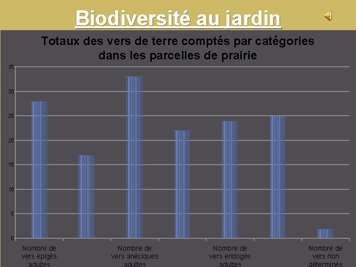 Biodiversité au jardin Totaux des vers de terre comptés par catégories dans les parcelles Biodiversité au jardin Totaux des vers de terre comptés par catégories dans les parcelles
