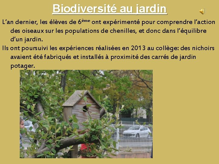 Biodiversité au jardin L’an dernier, les élèves de 6ème ont expérimenté pour comprendre l’action Biodiversité au jardin L’an dernier, les élèves de 6ème ont expérimenté pour comprendre l’action