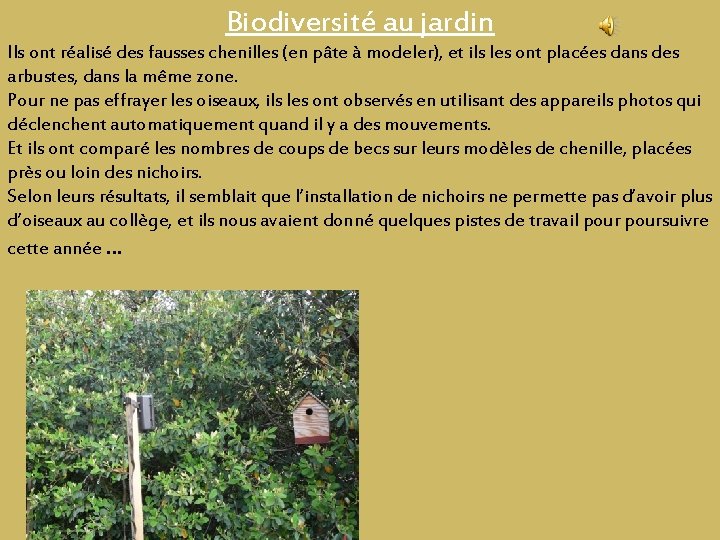 Biodiversité au jardin Ils ont réalisé des fausses chenilles (en pâte à modeler), et Biodiversité au jardin Ils ont réalisé des fausses chenilles (en pâte à modeler), et