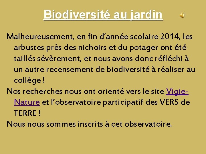 Biodiversité au jardin Malheureusement, en fin d’année scolaire 2014, les arbustes près des nichoirs Biodiversité au jardin Malheureusement, en fin d’année scolaire 2014, les arbustes près des nichoirs