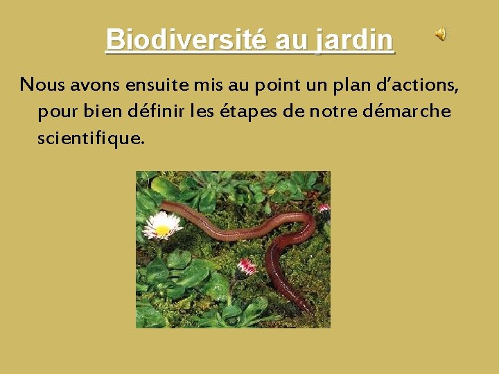 Biodiversité au jardin Nous avons ensuite mis au point un plan d’actions, pour bien Biodiversité au jardin Nous avons ensuite mis au point un plan d’actions, pour bien