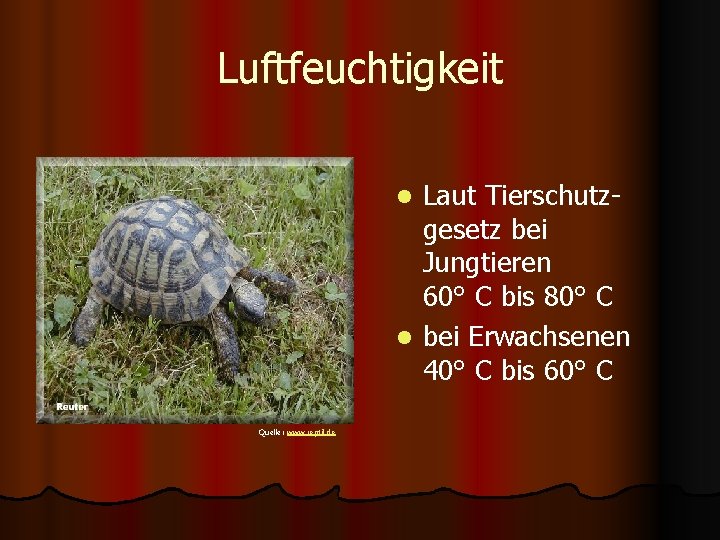 Luftfeuchtigkeit Laut Tierschutzgesetz bei Jungtieren 60° C bis 80° C l bei Erwachsenen 40°