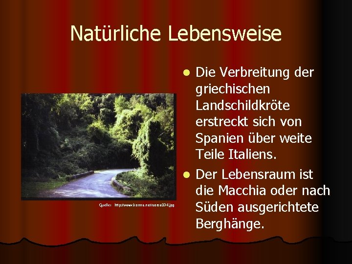 Natürliche Lebensweise Die Verbreitung der griechischen Landschildkröte erstreckt sich von Spanien über weite Teile