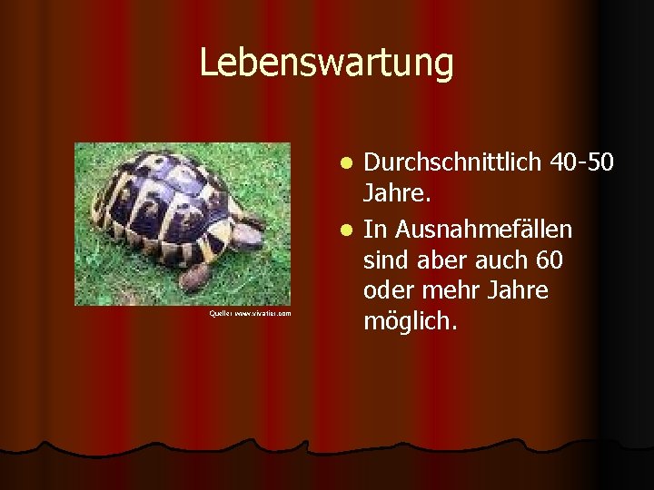 Lebenswartung Durchschnittlich 40 -50 Jahre. l In Ausnahmefällen sind aber auch 60 oder mehr