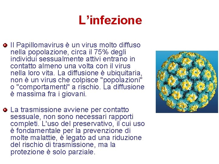 L’infezione Il Papillomavirus è un virus molto diffuso nella popolazione, circa il 75% degli