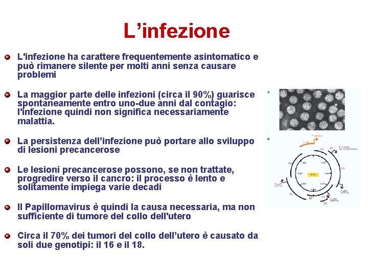 L’infezione L'infezione ha carattere frequentemente asintomatico e può rimanere silente per molti anni senza