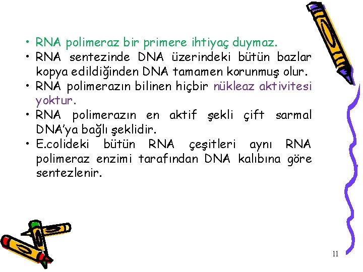  • RNA polimeraz bir primere ihtiyaç duymaz. • RNA sentezinde DNA üzerindeki bütün