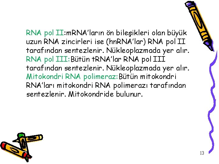 RNA pol II: m. RNA’ların ön bileşikleri olan büyük uzun RNA zincirleri ise (hn.