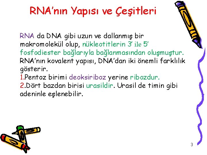 RNA’nın Yapısı ve Çeşitleri RNA da DNA gibi uzun ve dallanmış bir makromolekül olup,