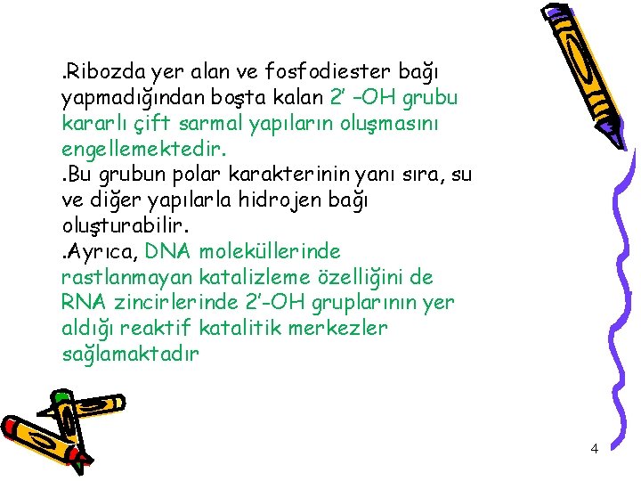 . Ribozda yer alan ve fosfodiester bağı yapmadığından boşta kalan 2’ –OH grubu kararlı