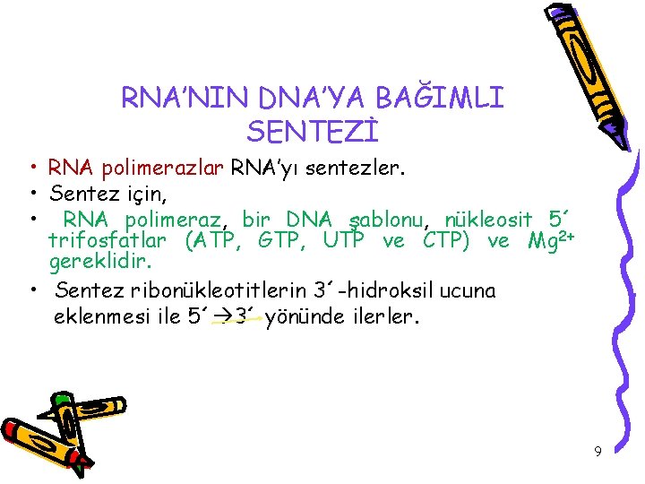 RNA’NIN DNA’YA BAĞIMLI SENTEZİ • RNA polimerazlar RNA’yı sentezler. • Sentez için, • RNA