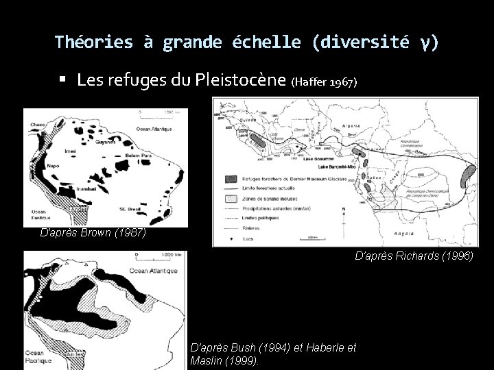 Théories à grande échelle (diversité γ) Les refuges du Pleistocène (Haffer 1967) D'après Brown