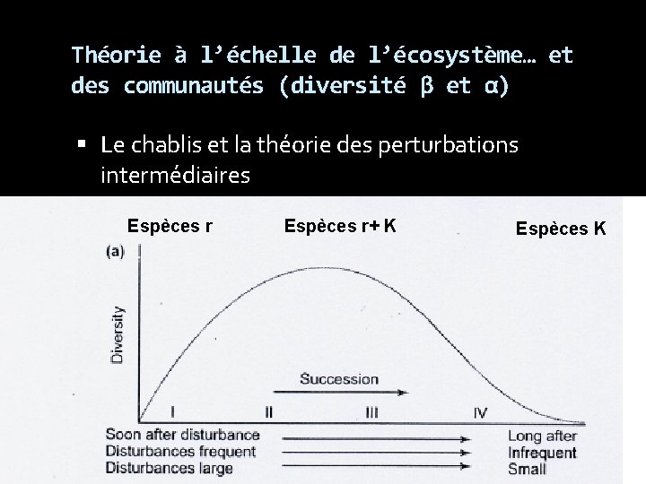Théorie à l’échelle de l’écosystème… et des communautés (diversité β et α) Le chablis