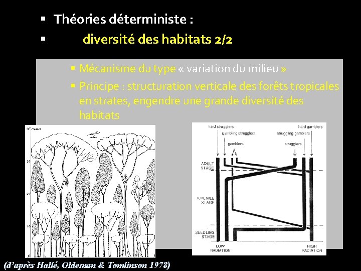  Théories déterministe : diversité des habitats 2/2 Mécanisme du type « variation du