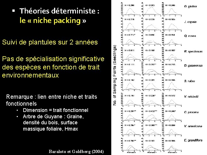  Théories déterministe : le « niche packing » Suivi de plantules sur 2