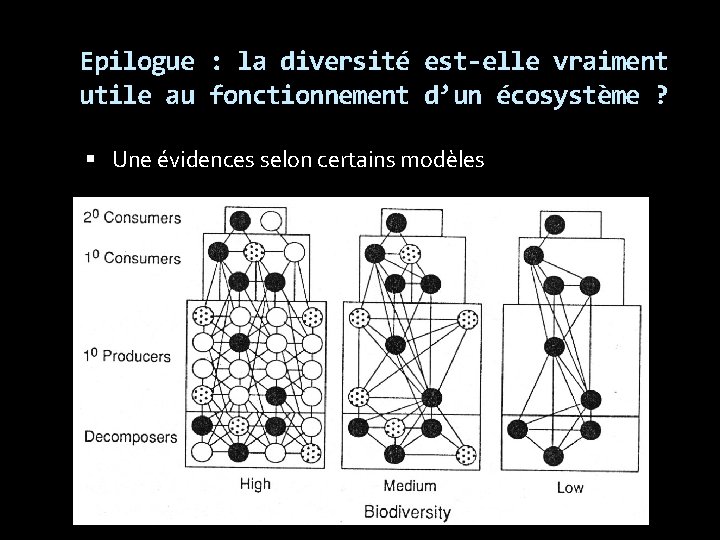 Epilogue : la diversité est-elle vraiment utile au fonctionnement d’un écosystème ? Une évidences