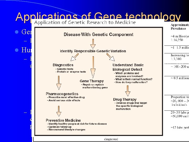 Applications of Gene technology l Genetic testing – Identify gene defects l Human therapeutics