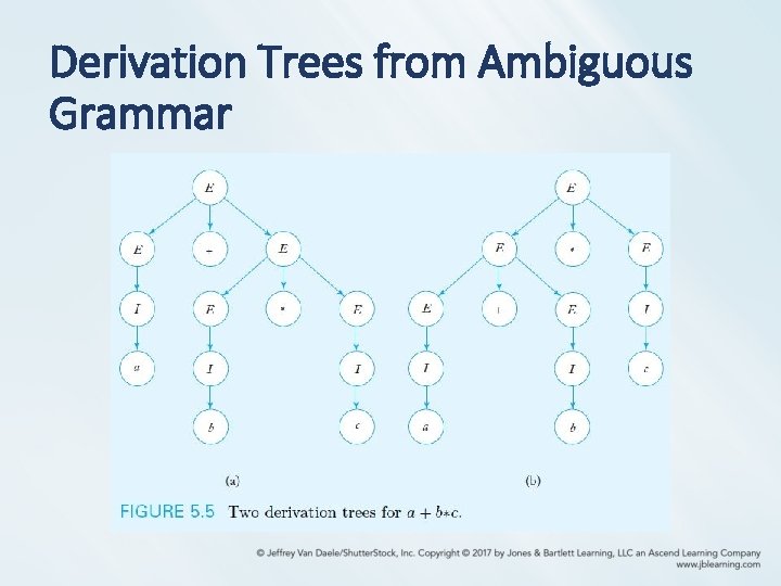 Derivation Trees from Ambiguous Grammar 