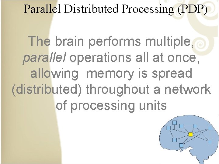 Parallel Distributed Processing (PDP) The brain performs multiple, parallel operations all at once, allowing