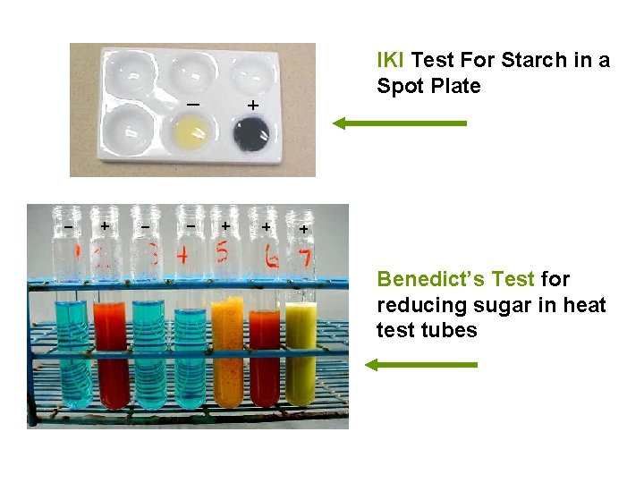 IKI Test For Starch in a Spot Plate Benedict’s Test for reducing sugar in