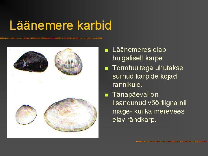 Läänemere karbid n n Söödav rannakarp Söödav südakaarp n Balti lamekarp Liiva uurikkarp Läänemeres