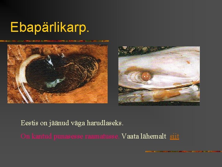 Ebapärlikarp. Eestis on jäänud väga harudlaseks. On kantud punasesse raamatusse. Vaata lähemalt siit 