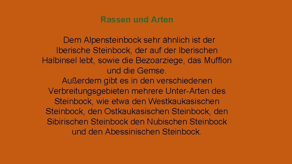 Rassen und Arten Dem Alpensteinbock sehr ähnlich ist der Iberische Steinbock, der auf der