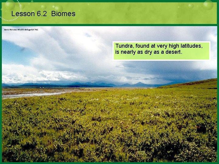 Lesson 6. 2 Biomes Tundra, found at very high latitudes, is nearly as dry