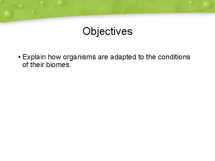 Objectives • Explain how organisms are adapted to the conditions of their biomes. 