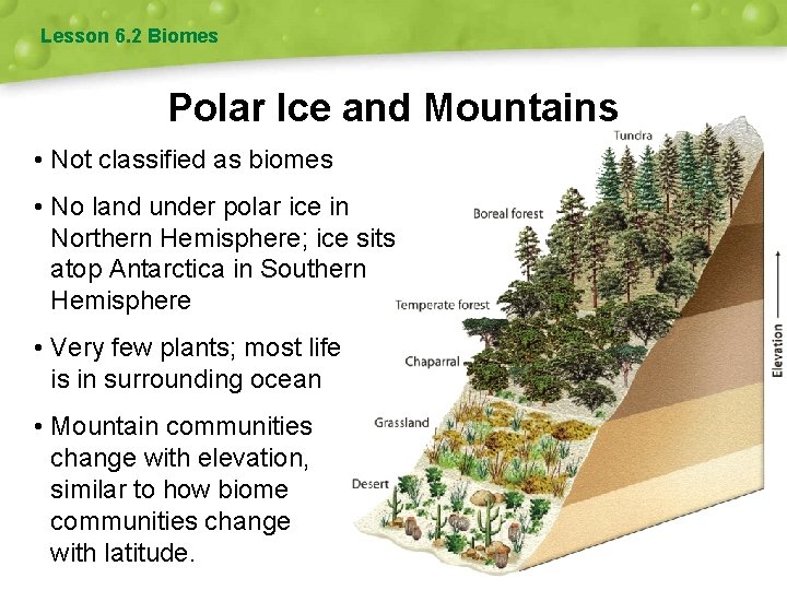 Lesson 6. 2 Biomes Polar Ice and Mountains • Not classified as biomes •