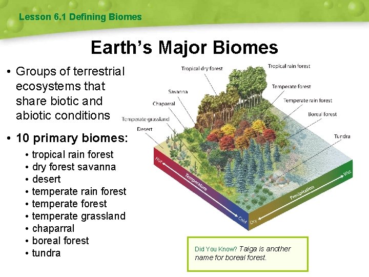 Lesson 6. 1 Defining Biomes Earth’s Major Biomes • Groups of terrestrial ecosystems that