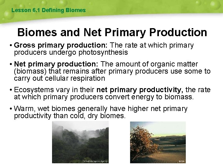 Lesson 6. 1 Defining Biomes and Net Primary Production • Gross primary production: The