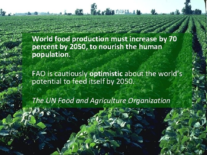 World food production must increase by 70 percent by 2050, to nourish the human