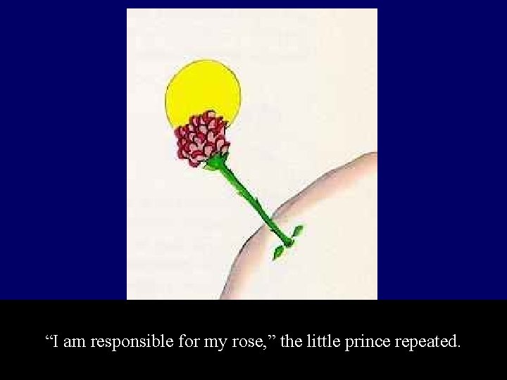 “I am responsible for my rose, ” the little prince repeated. 