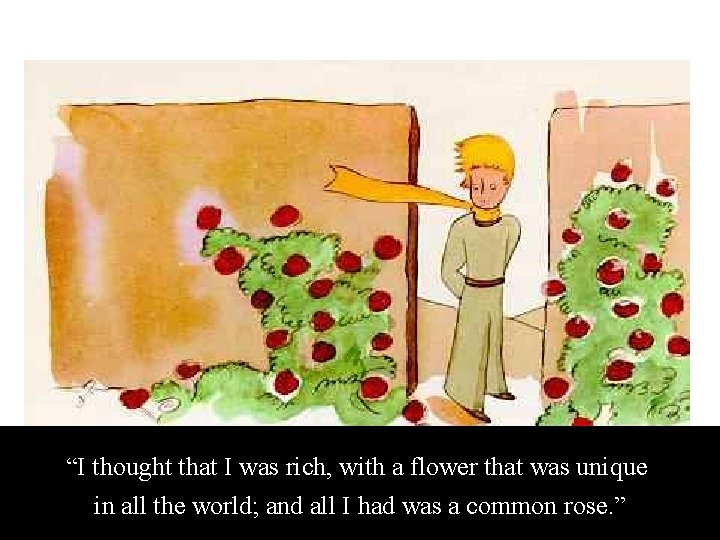 “I thought that I was rich, with a flower that was unique in all