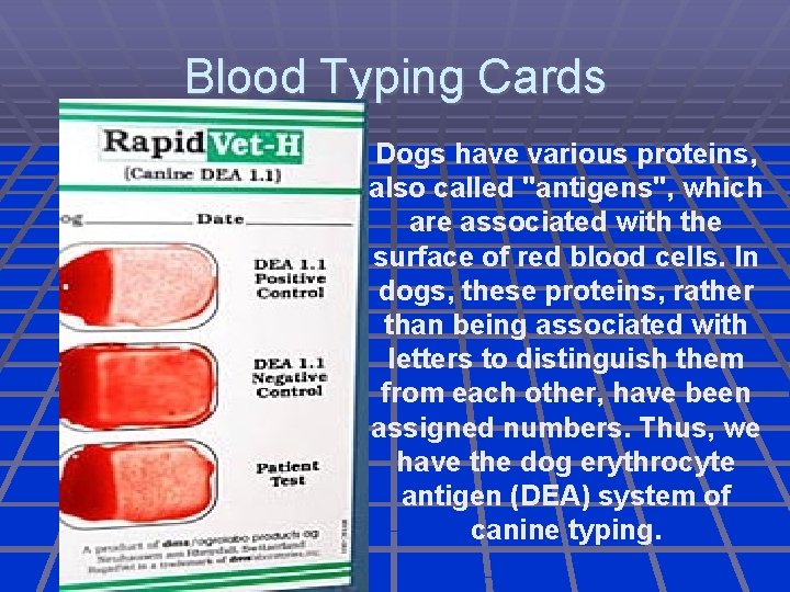 Blood Typing Cards Dogs have various proteins, also called "antigens", which are associated with