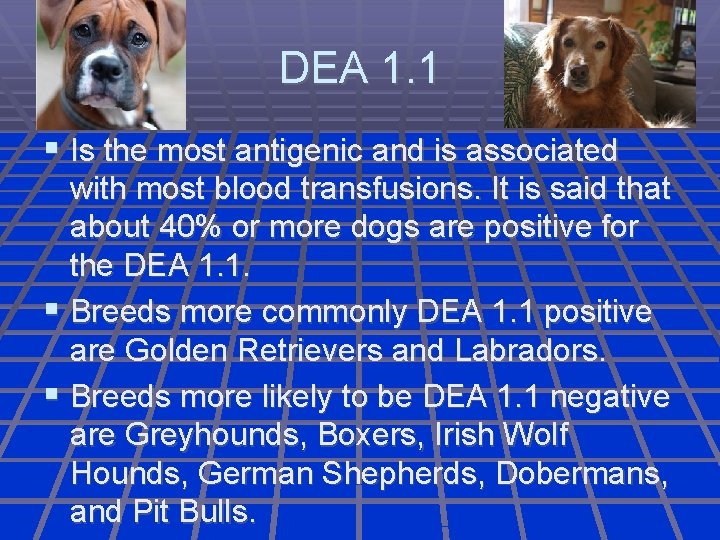 DEA 1. 1 Is the most antigenic and is associated with most blood transfusions.