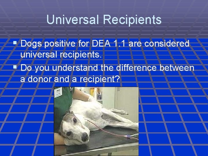 Universal Recipients Dogs positive for DEA 1. 1 are considered universal recipients. Do you