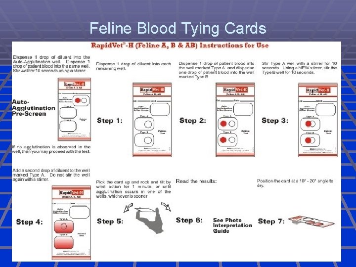 Feline Blood Tying Cards 